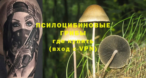 молекула духа Киренск