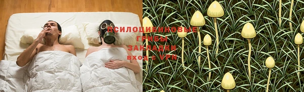 прущие крисы Козельск