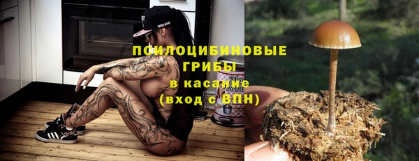 эйфоретик Кинешма